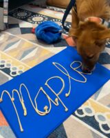 maple.jpg