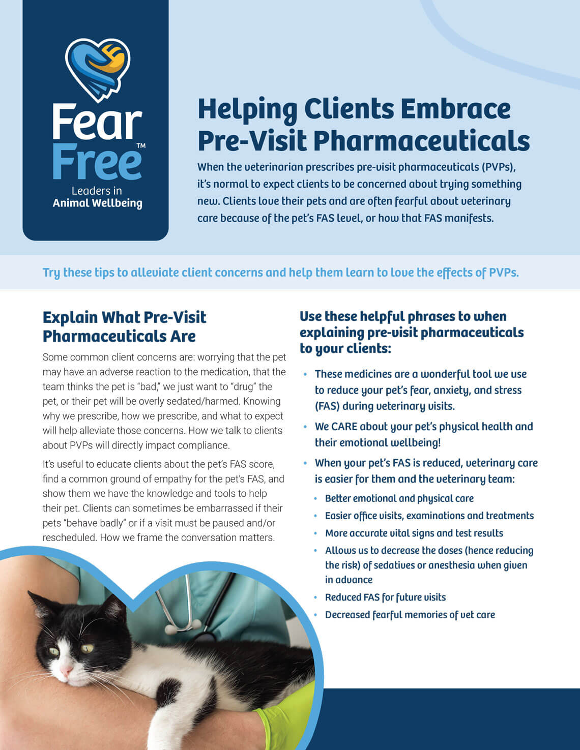 helping clients embrace pre-visist pharmaceuticals flyer image