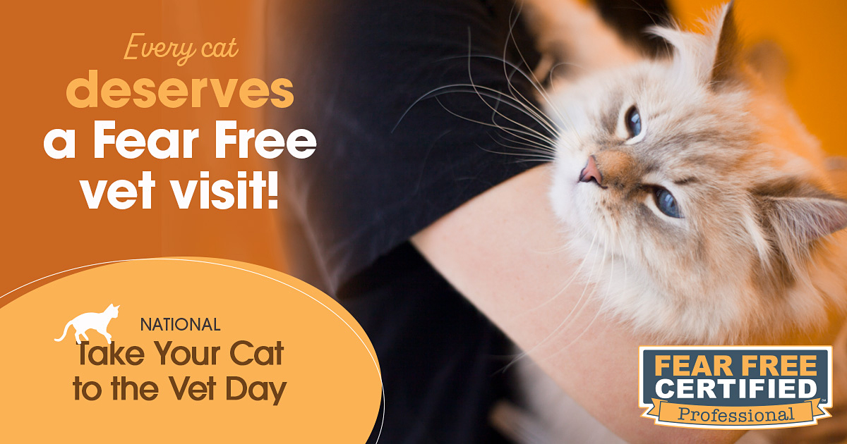 National Take Your Cat to the Vet Day | Fear Free Pets National Take Your Cat to the Vet Day | Fear Free Pets