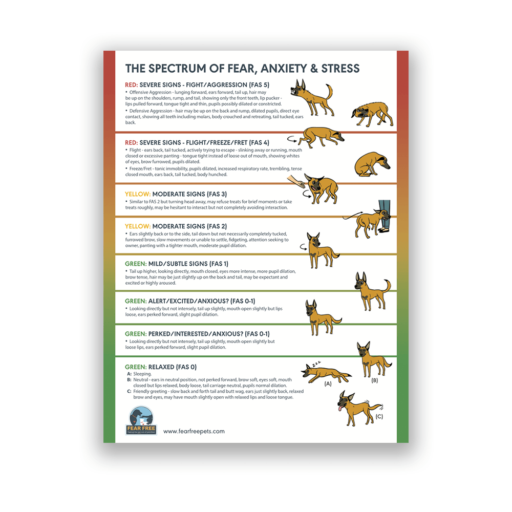 what are the signs of a stressed dog