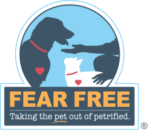 What Is Fear Free Why Is It Important Fear Free Pets