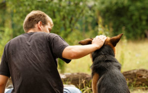 Man and dog in woods