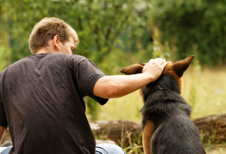 Man and dog in woods