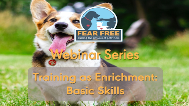 While your favorite groomer is temporarily closed, you may need to do some basic grooming on your dog yourself. This recorded webinar will show you how.