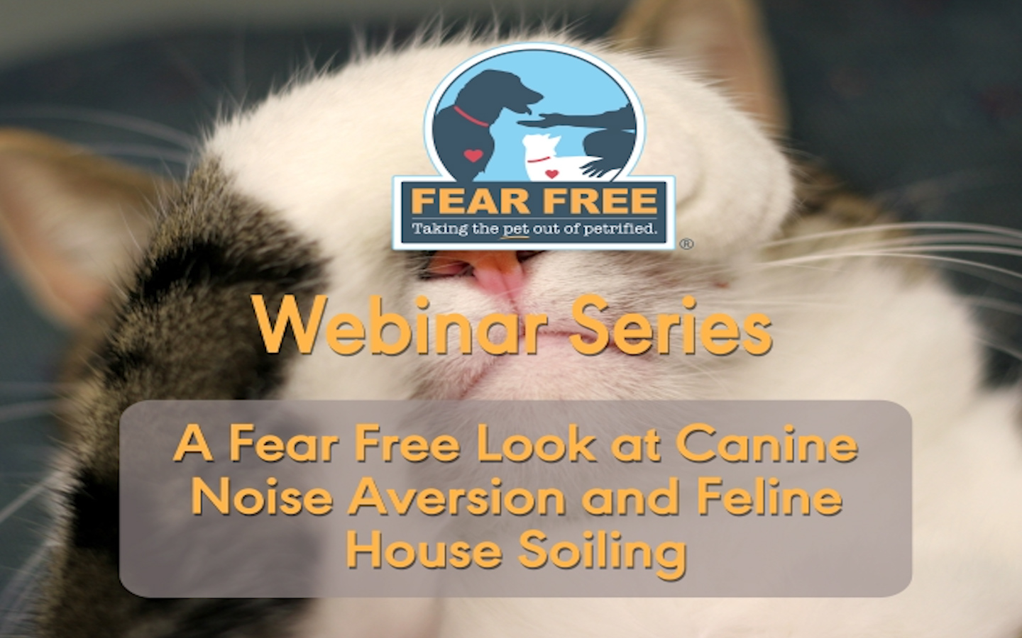 A Fear Free Look at Canine Noise Aversion and Feline House Soiling