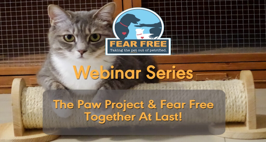 The Paw Project and Fear Free Together At Last!