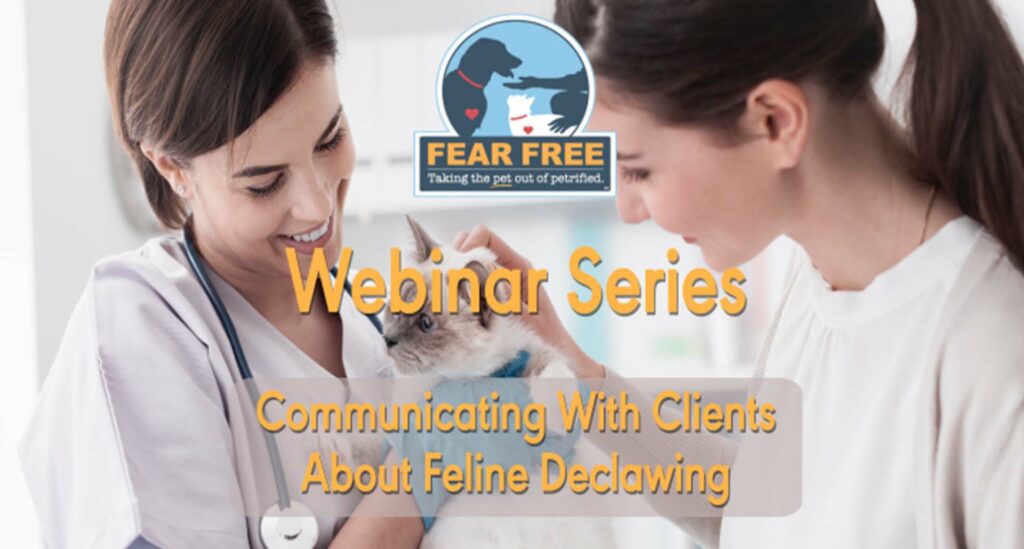 Communicating With Clients About Feline Declawing