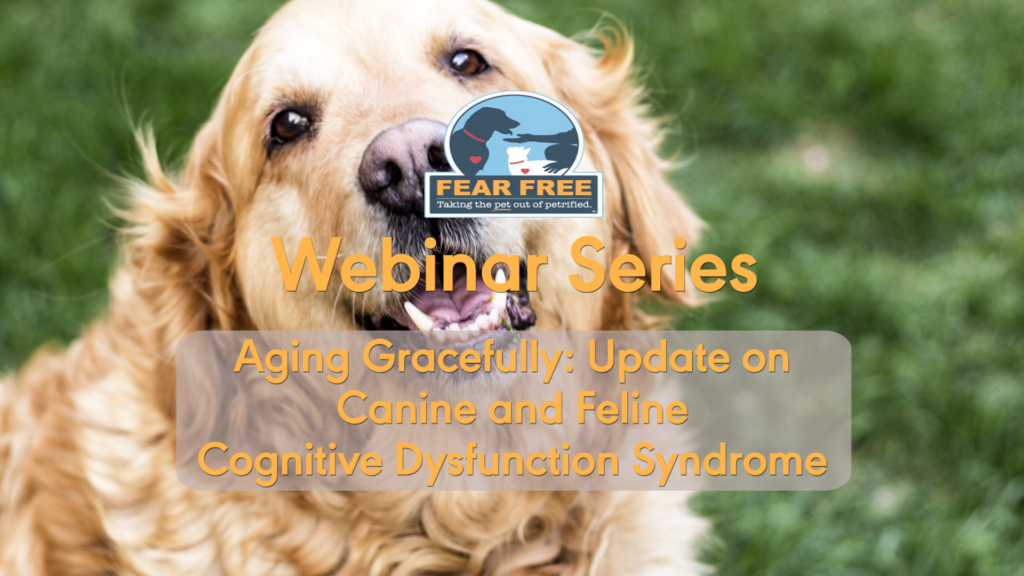 Aging Gracefully: Update on Canine and Feline Cognitive Dysfunction Syndrome