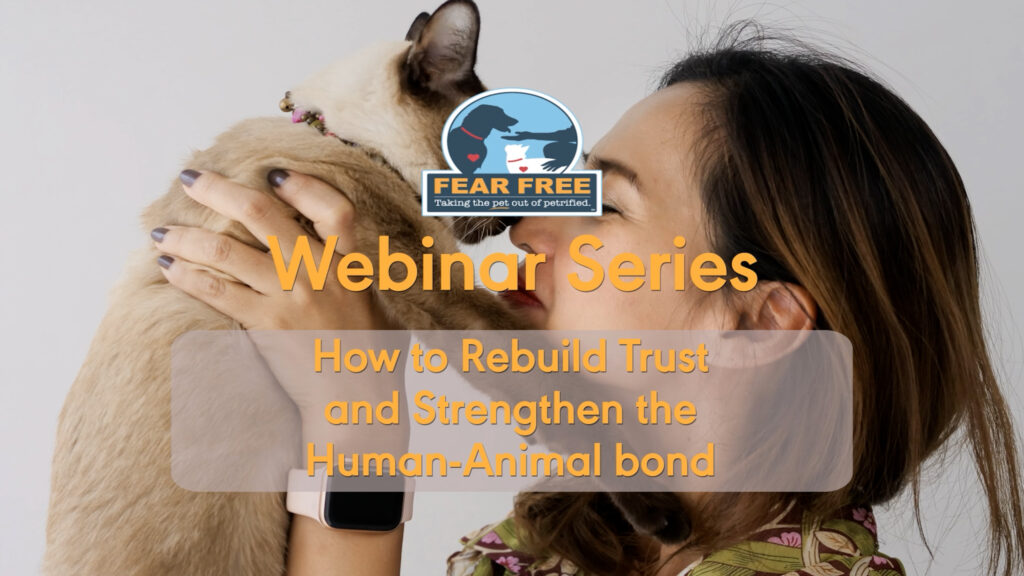 How to Rebuild Trust and Strengthen the Human-Animal Bond