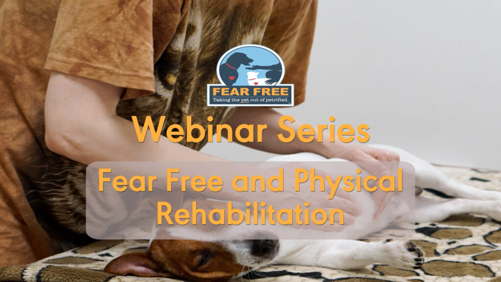 Fear Free and Physical Rehabilitation