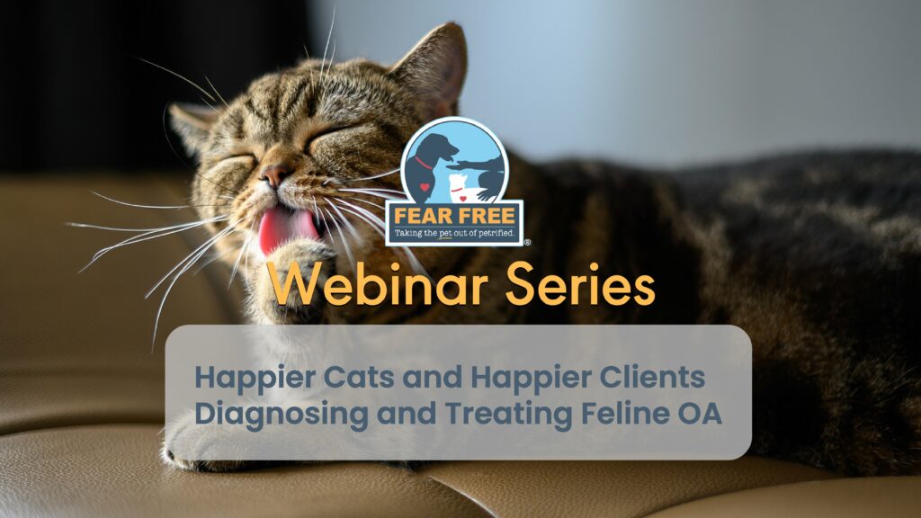 Happier Cats and Happier Clients: Diagnosing and Treating Feline OA