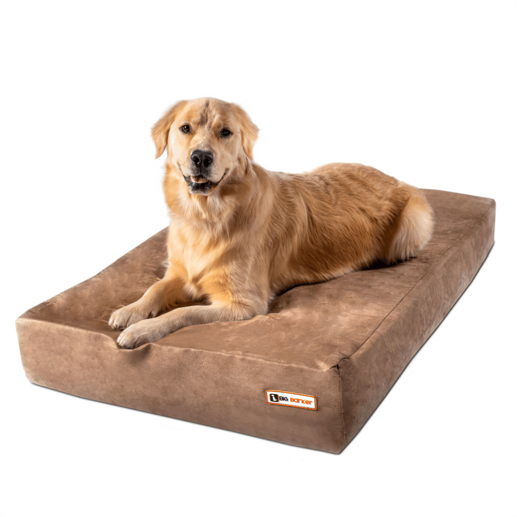 Sleek_Big_barker | Fear Free Pets Sleek_Big_barker | Fear Free Pets