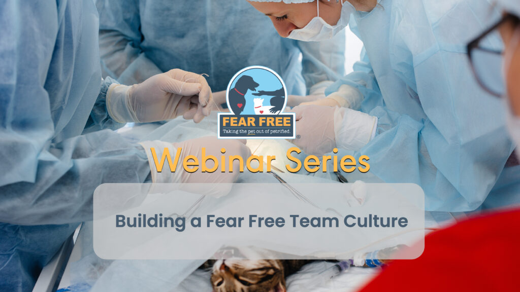 Building a Fear Free Team Culture