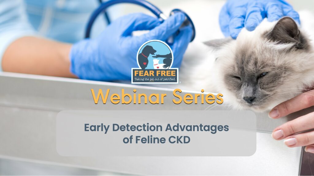 Early Detection Advantages of Feline CKD