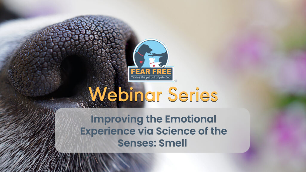 Improving the Emotional Experience via Science of the Senses: Smell