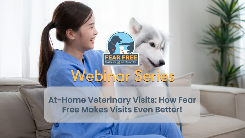 At-Home Veterinary Visits: How Fear Free makes visits even better!