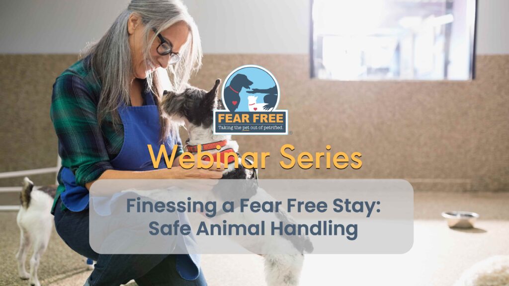 Finessing a Fear Free Stay: Safe Animal Handling