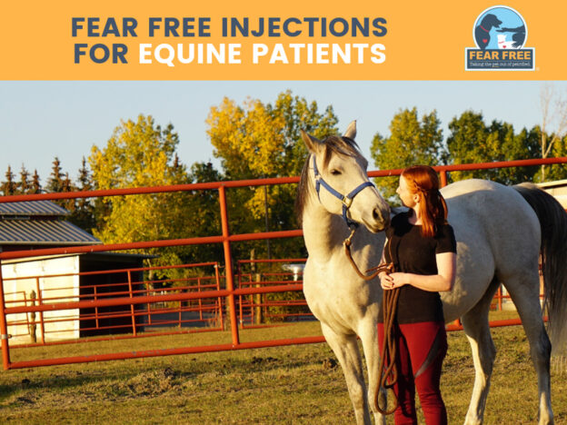 Fear Free Injections for Equine Patients course image