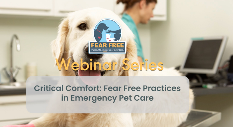 Critical Comfort: Fear Free practices in emergency pet care