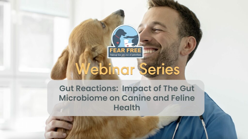 Gut Reactions: Impact of The Gut Microbiome on Canine and Feline Health