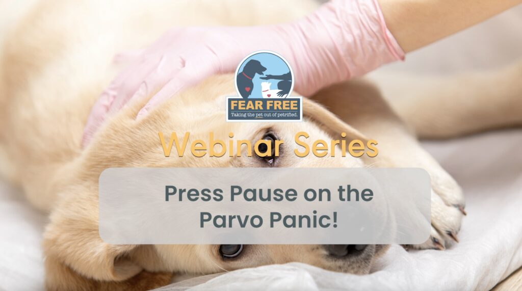 Press Pause on the Parvo Panic!