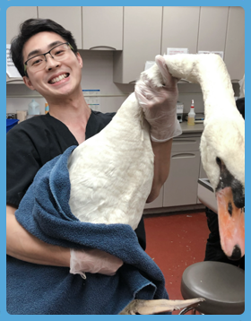 Dr. Kevin Yang