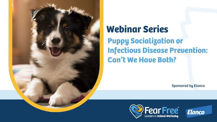 Puppy Socialization or Infectious Disease Prevention: Can’t We Have Both?