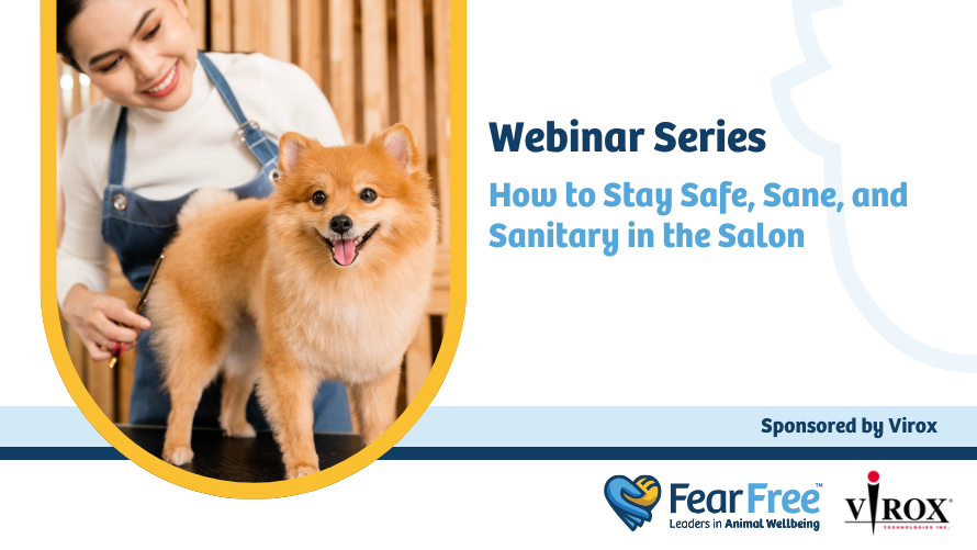 How to Stay Safe, Sane, and Sanitary in the Salon