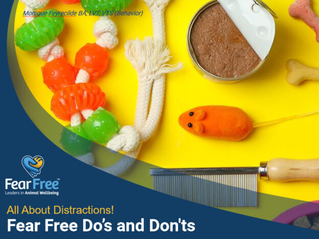 Using Distractions: Fear Free Do’s and Don’ts course image