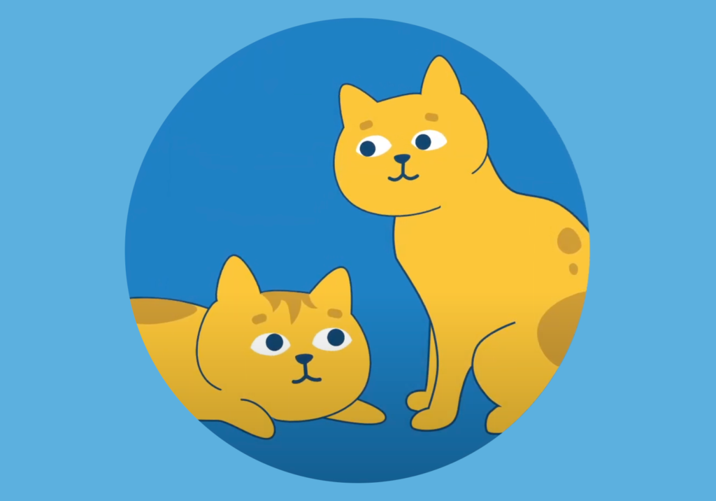 Helping Shelters & Fosters Raise Confident, Healthy Kittens – Video Series