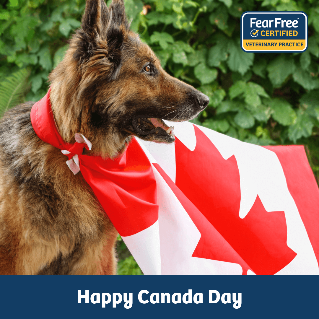 Canada Day