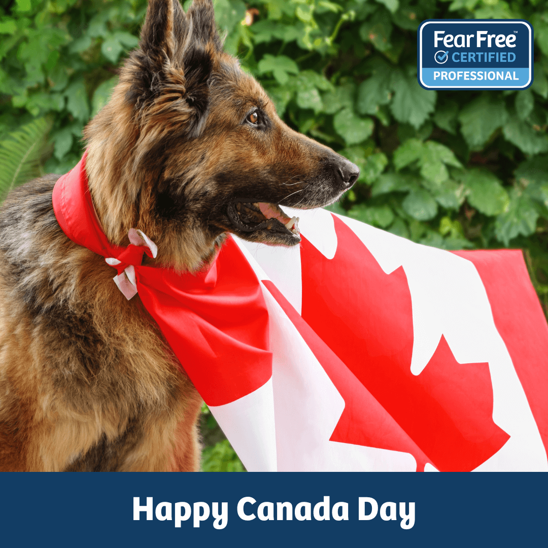 Happy Canada Day