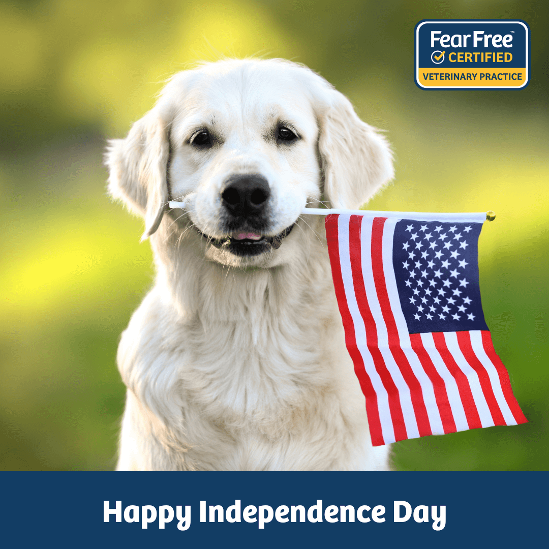Fourth of July