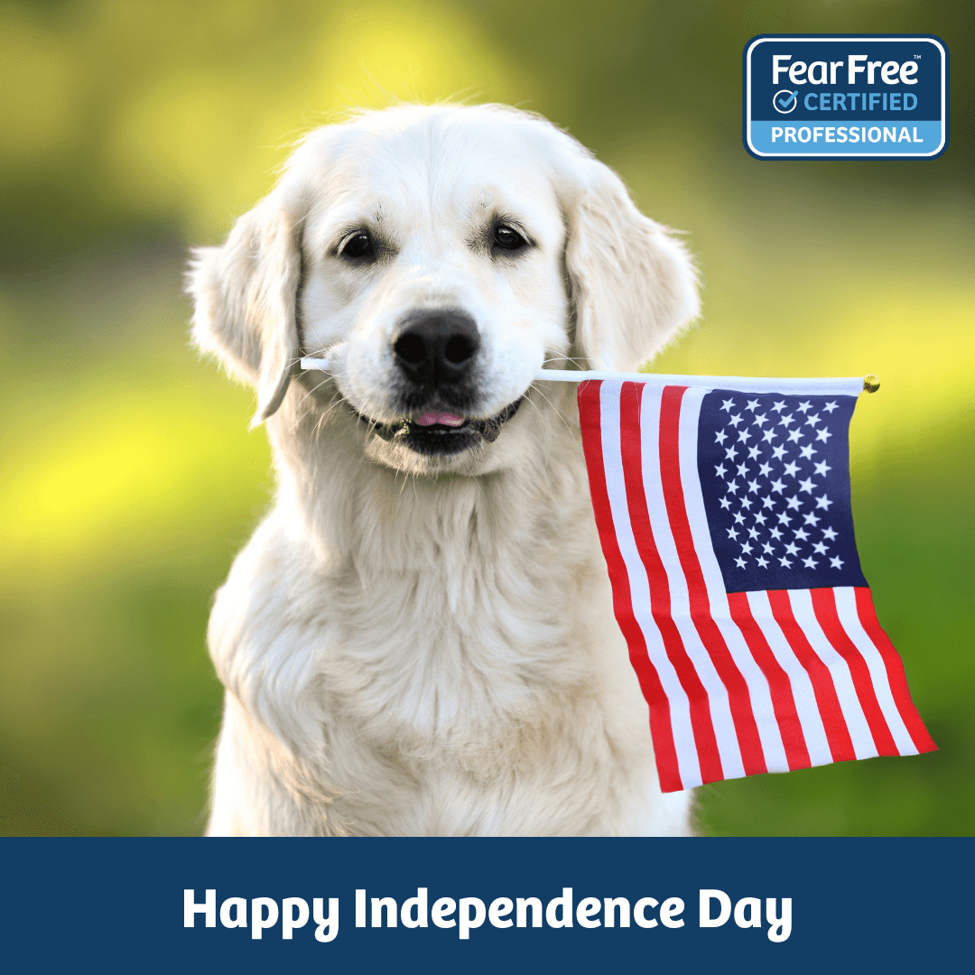 Happy Independance Day