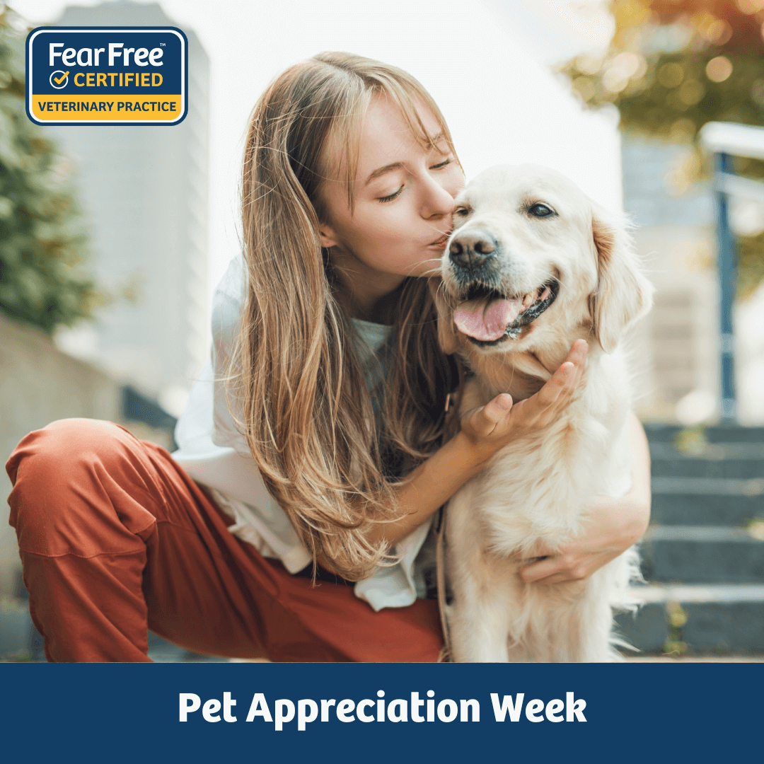 Pet Appreciation Week