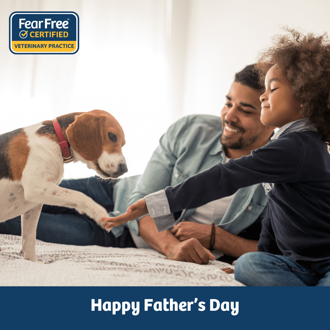 Father's Day